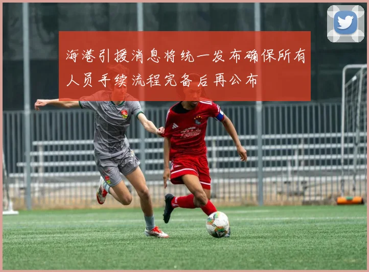 海港引援消息将统一发布确保所有人员手续流程完备后再公布