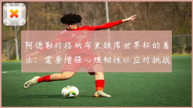 阿德勒对格纳布里缺席世界杯的看法：需要增强心理韧性以应对挑战
